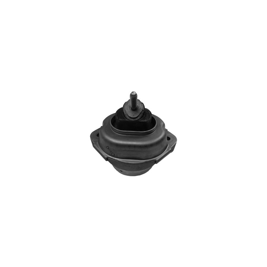Corteco 80001082 Engine Mount for BMW X5 (E53)