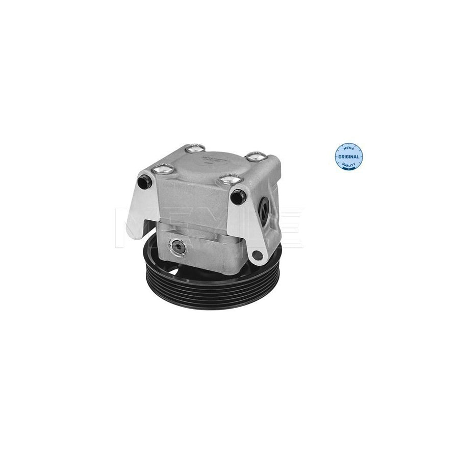 Meyle 714 631 0026 Power Steering Pump For Ford Focus