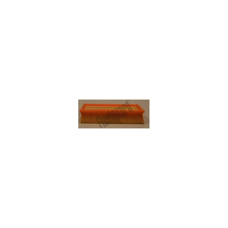 Fleetguard Af25599 Air Filter for Land Rover Discovery II (L318)
