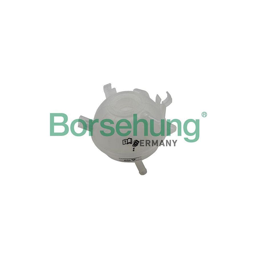 Borsehung B19280 Coolant Expansion Tank