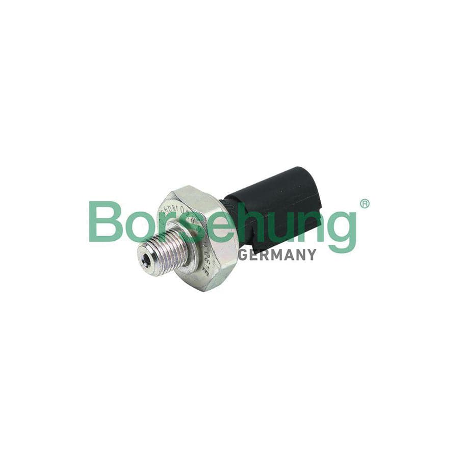 Borsehung B13139 Oil Pressure Switch