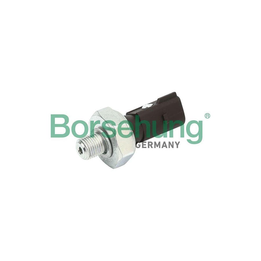 Borsehung B13137 Oil Pressure Switch