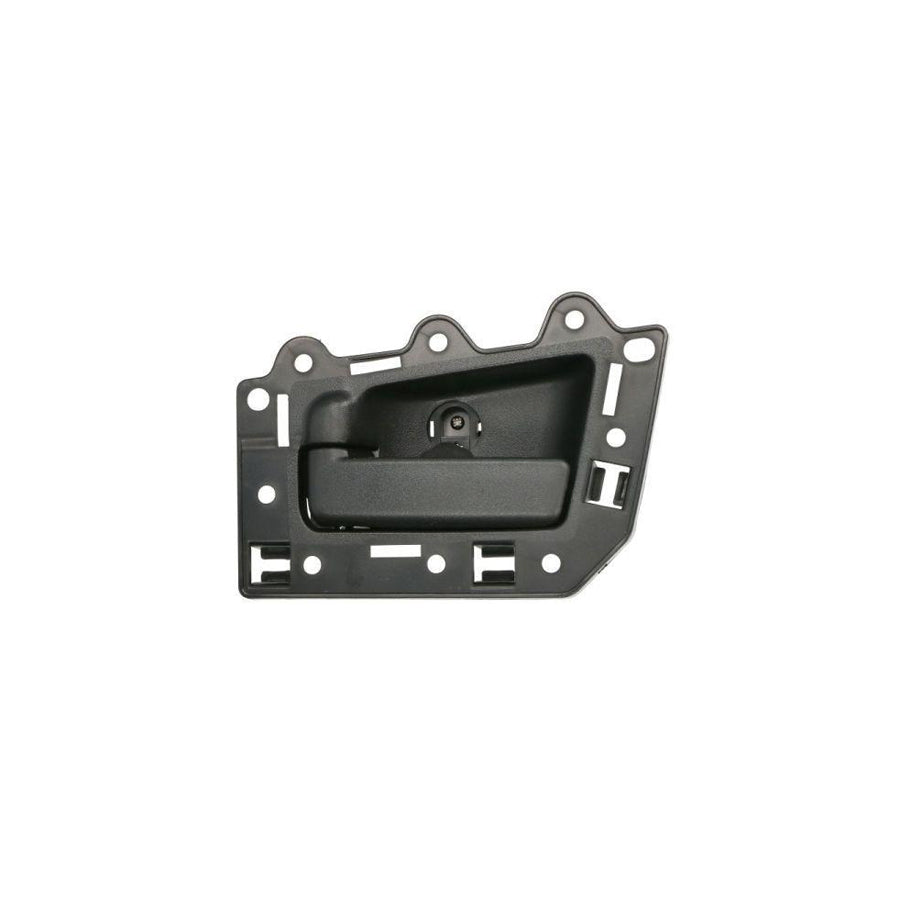 Blic 6010-55-008409Tp Door Handle For Jeep Grand Cherokee III (Wh, Wk)