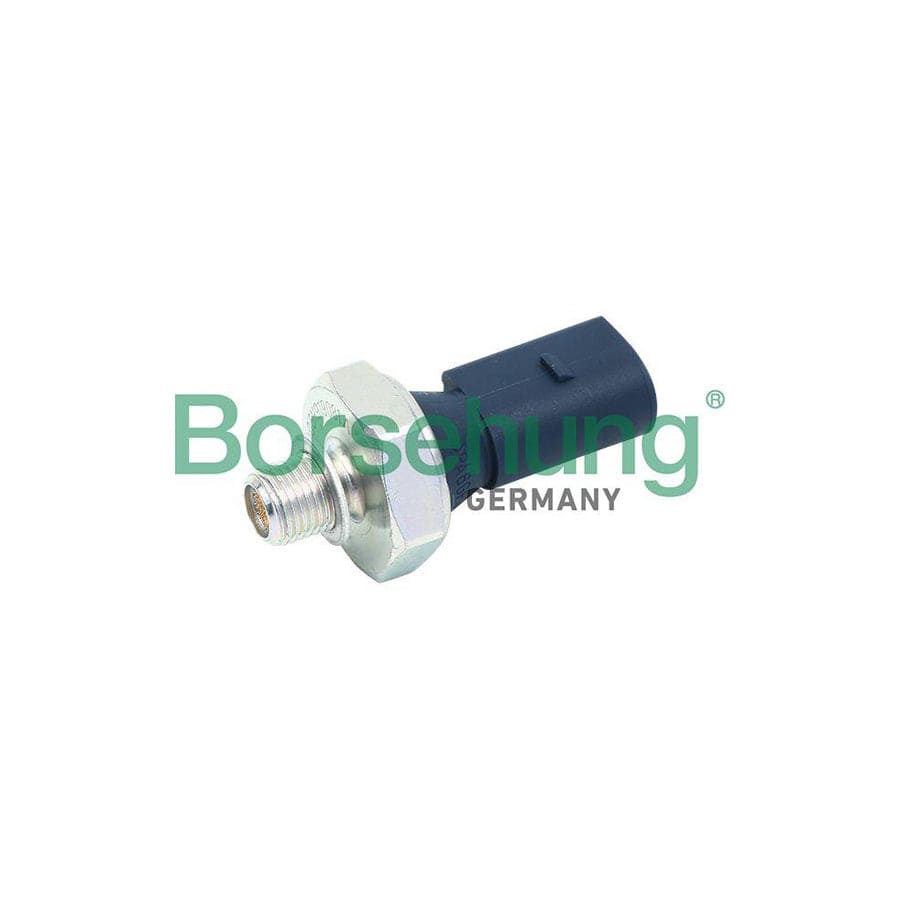 Borsehung B13136 Oil Pressure Switch