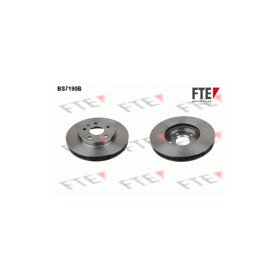 FTE Bs7190B Brake Disc