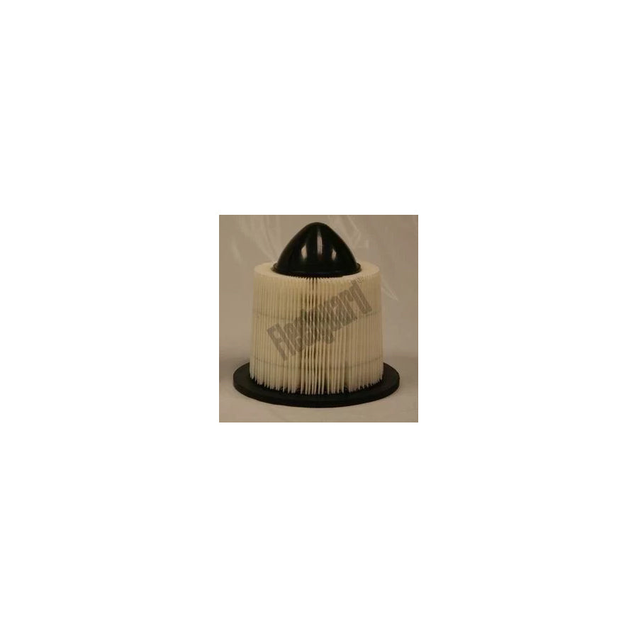 Fleetguard Af25590 Air Filter