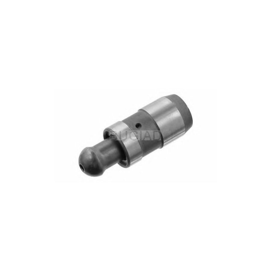 BUGIAD Bsp24372 Tappet