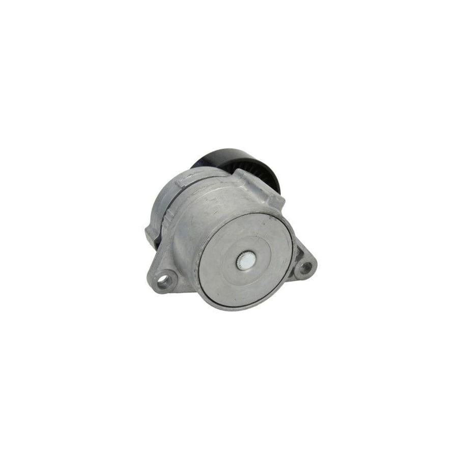 BTA E3V0001BTA Tensioner Lever, V-Ribbed Belt