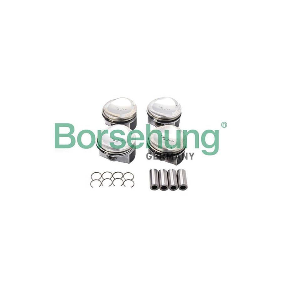 Borsehung B13582 Piston Ring Kit