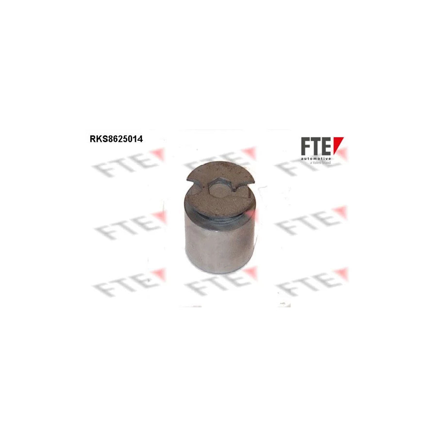 FTE Rks8625014 Piston, Brake Caliper