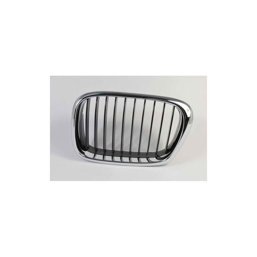 Blic 6502-07-00659911P Radiator Grille For BMW 5 Series