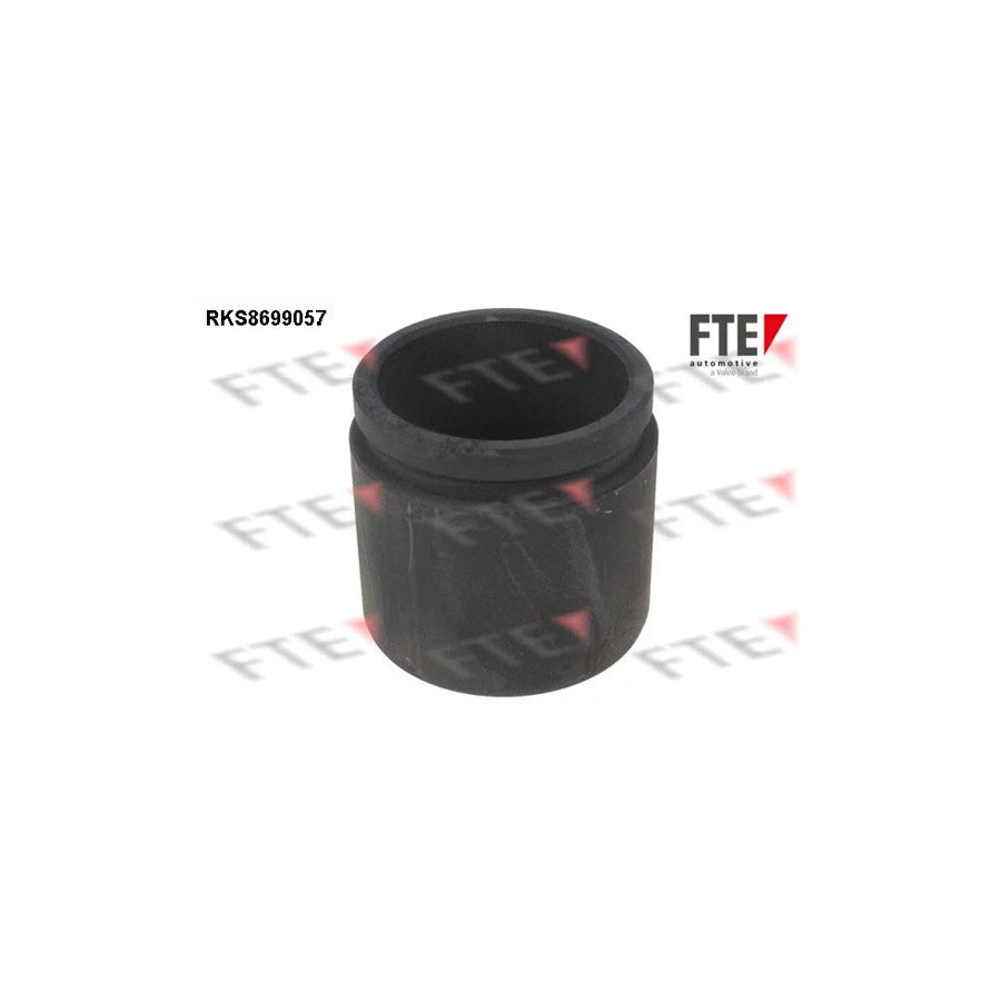 FTE 9313510 Piston, Brake Caliper