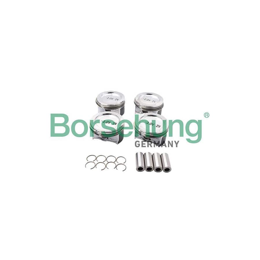 Borsehung B13581 Piston Ring Kit