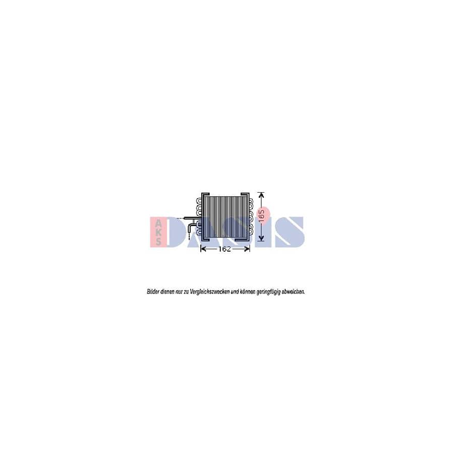 AKS Dasis 120056N Engine Radiator