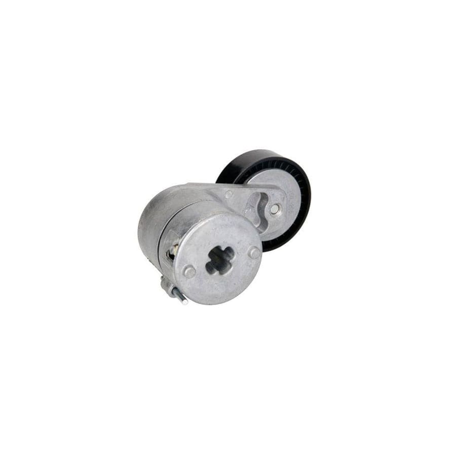 BTA E3W0038BTA Tensioner Lever, V-Ribbed Belt