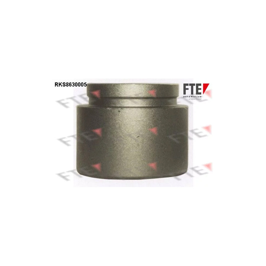 FTE Rks8630005 Piston, Brake Caliper