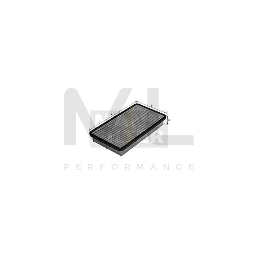 MANN-FILTER C 2334/1 Air Filter Filter Insert