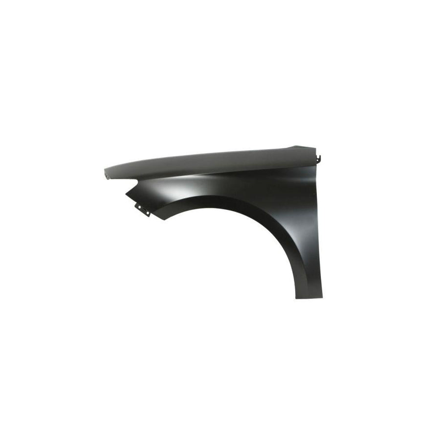 Blic 6504-04-6626311P Wing Fender