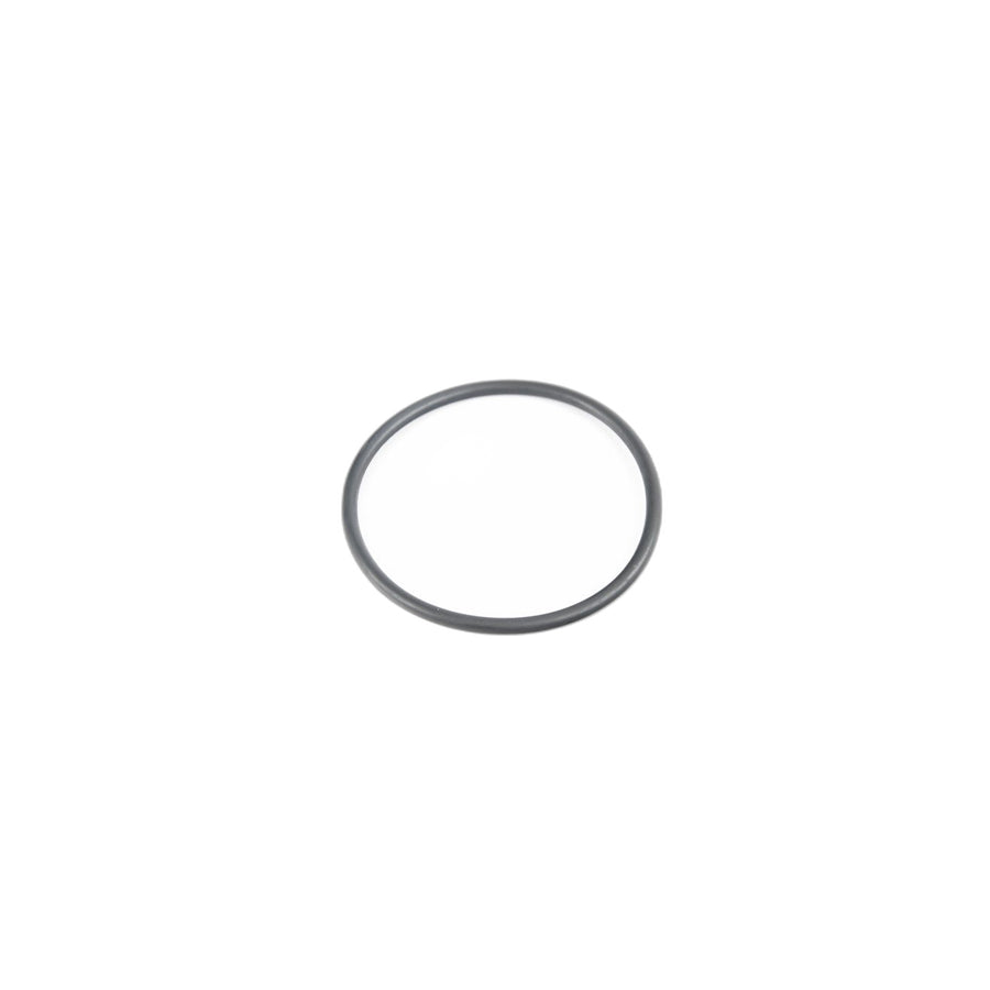 Genuine BMW 13717636959 F11 F07 F10 O-Ring (Inc. 528iX) | ML Performance US Car Parts