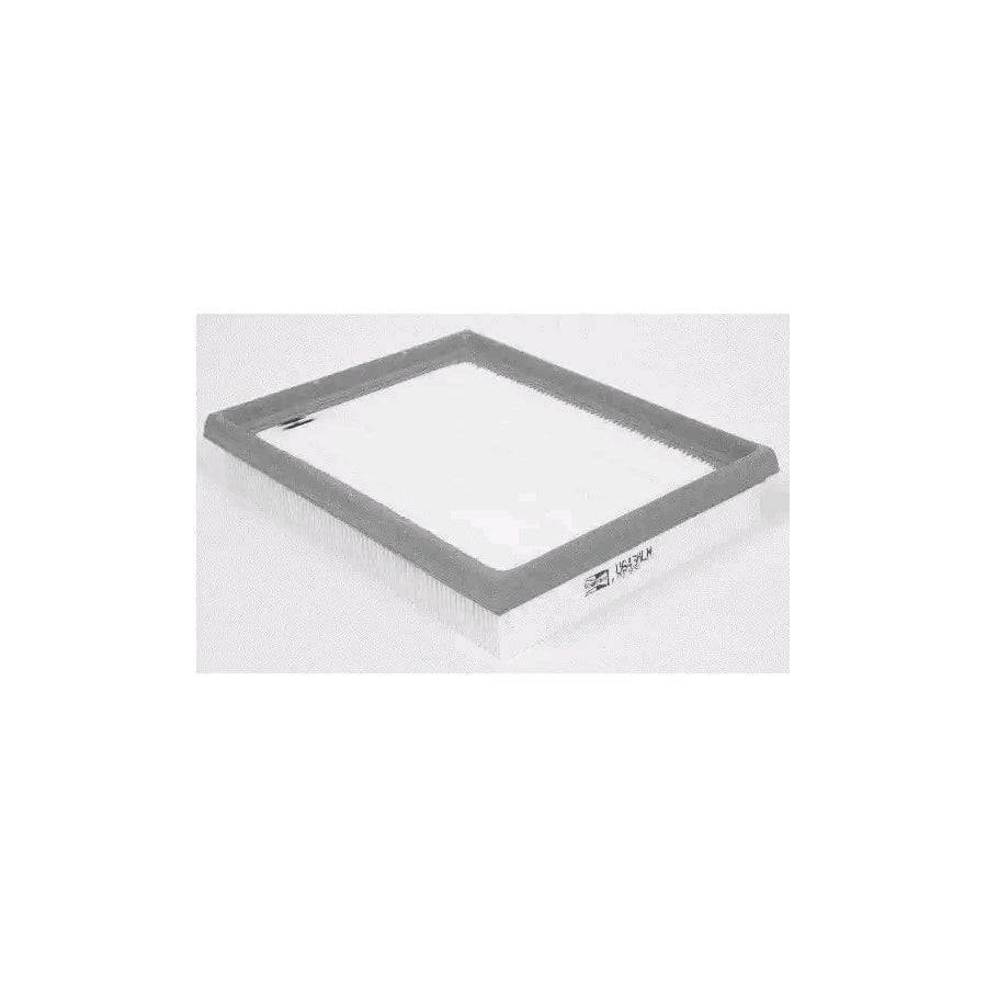 Champion CAF100643P Air Filter