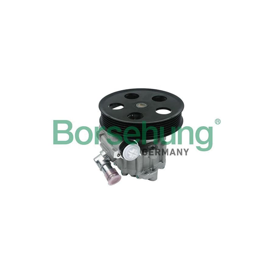 Borsehung B13214 Power Steering Pump for Audi A4