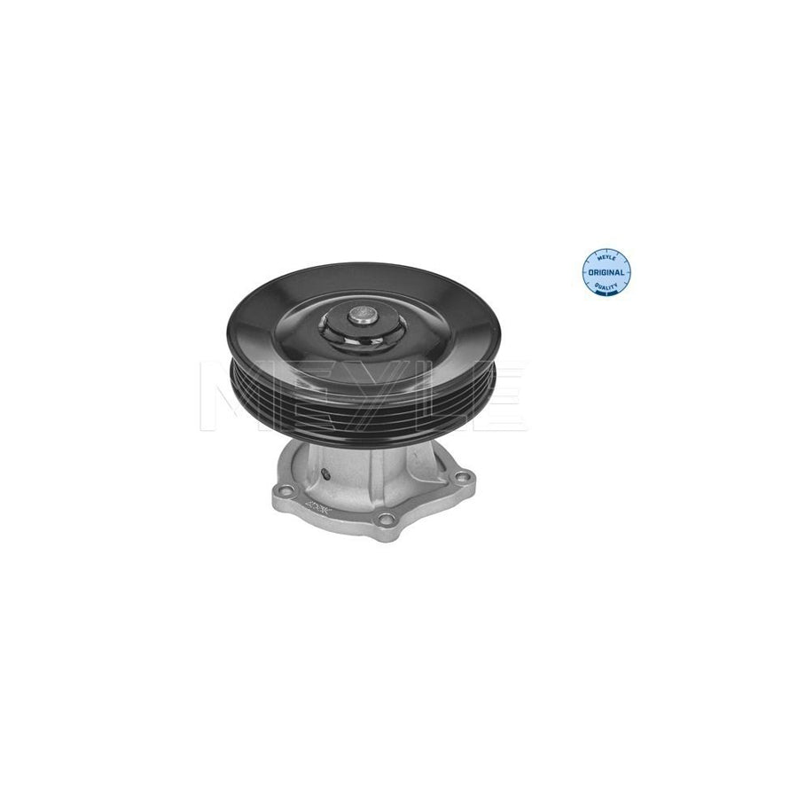 Meyle 29-13 220 0002 Water Pump