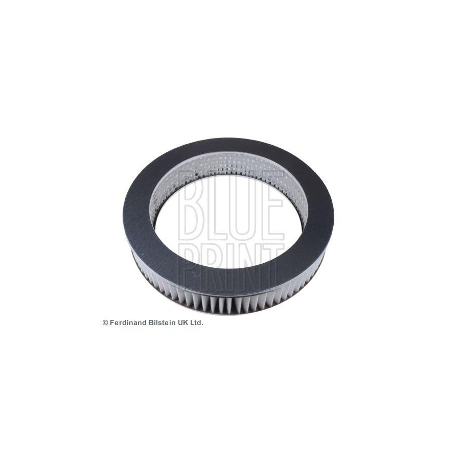 Blue Print Adc42204 Air Filter