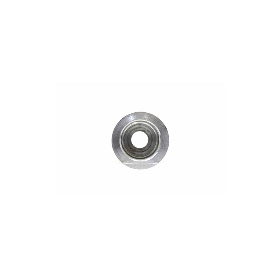 Alanko 10723035 Pulley, Alternator