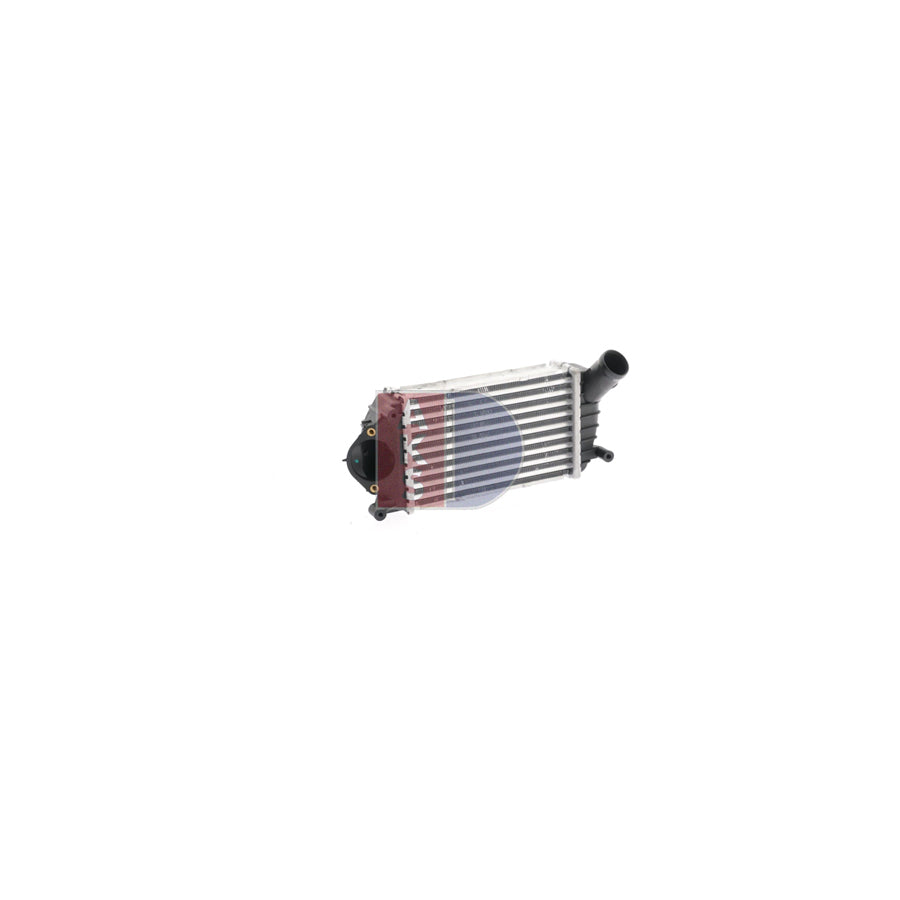 AKS Dasis 120084N Engine Radiator Suitable for Mercedes-Benz G-Class