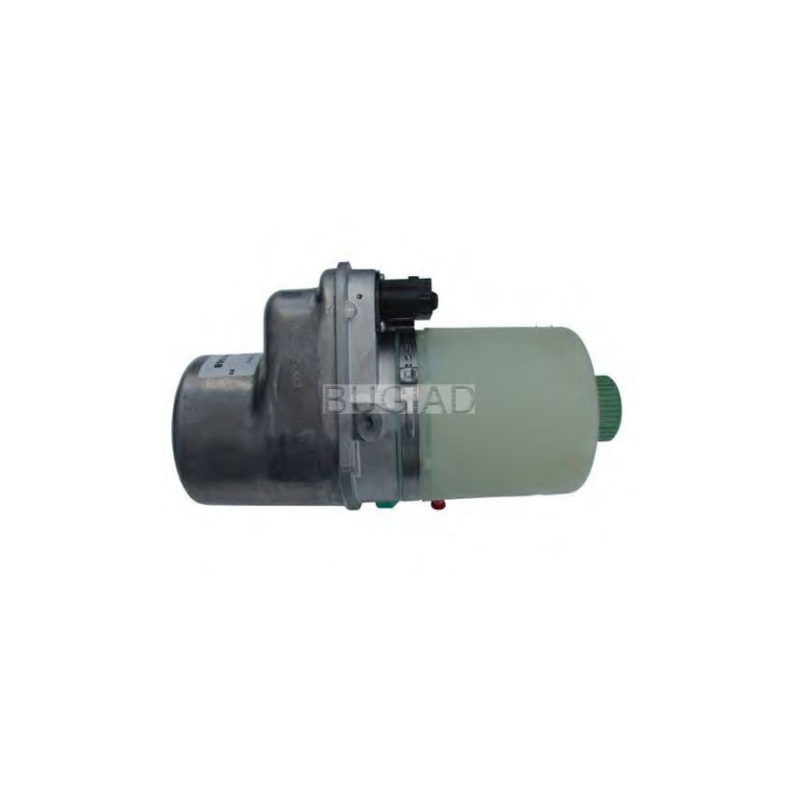 BUGIAD Bsp24382 Power Steering Pump