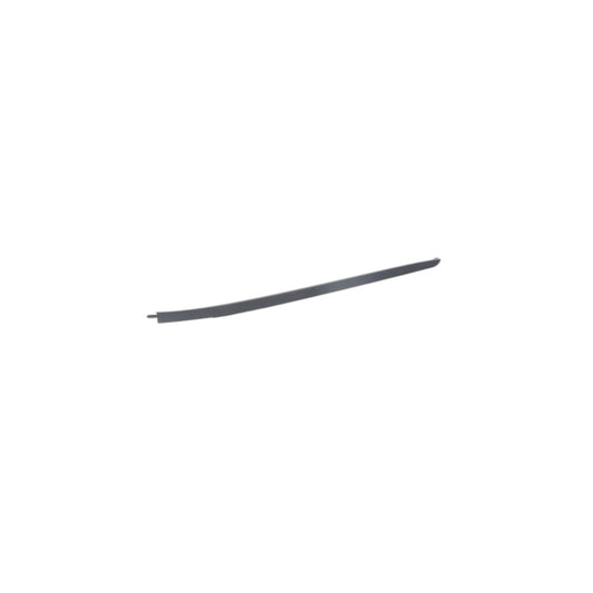 Genuine BMW 51317462205 F15 Drip Moulding, Left SCHWARZ MATT (Inc. X5) | ML Performance US Car Parts