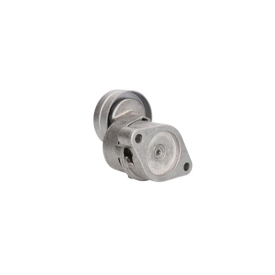 BTA E3X0006BTA Tensioner Pulley