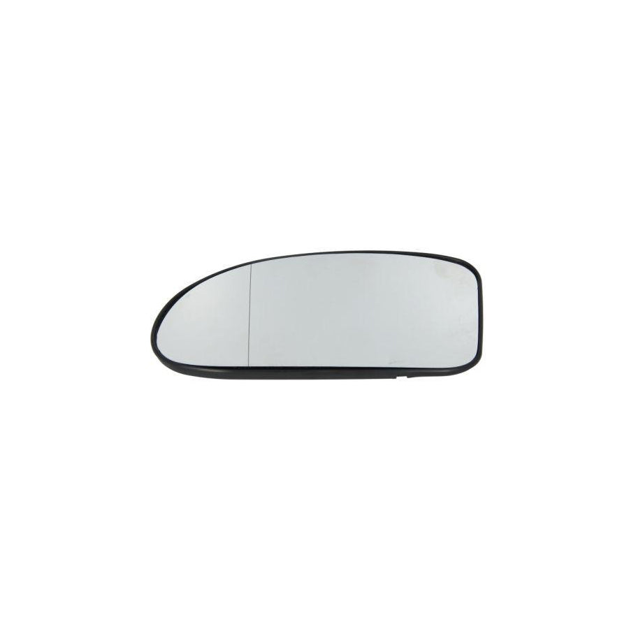 Blic 6502-08-3181200P Front Cowling For Hyundai Santa Fe II (Cm)