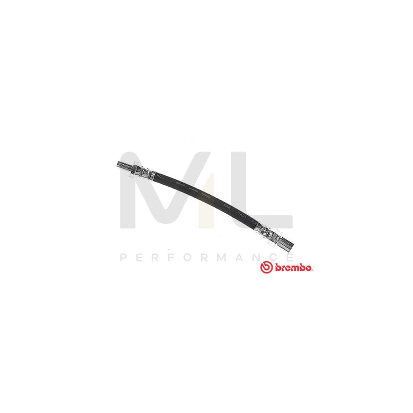 BREMBO T 83 125 Brake Hose 205mm, F10X1 | ML Performance Car Parts
