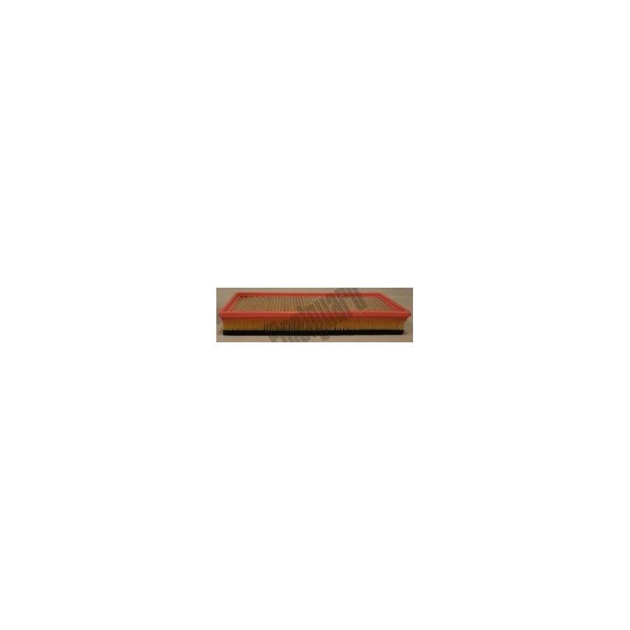 Fleetguard Af25742 Air Filter