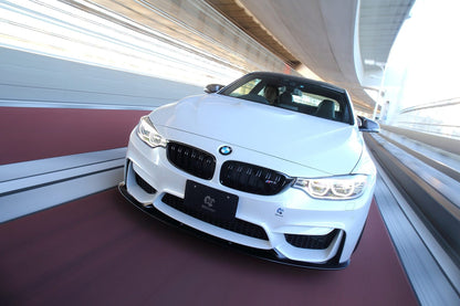 3D Design 3101-28211 BMW Carbon Fiber Front Lip Spoiler