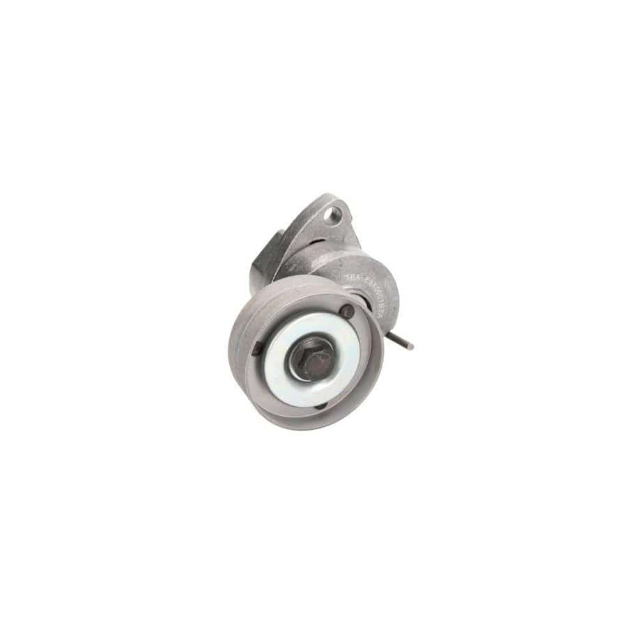 BTA E3X0001BTA Tensioner Pulley