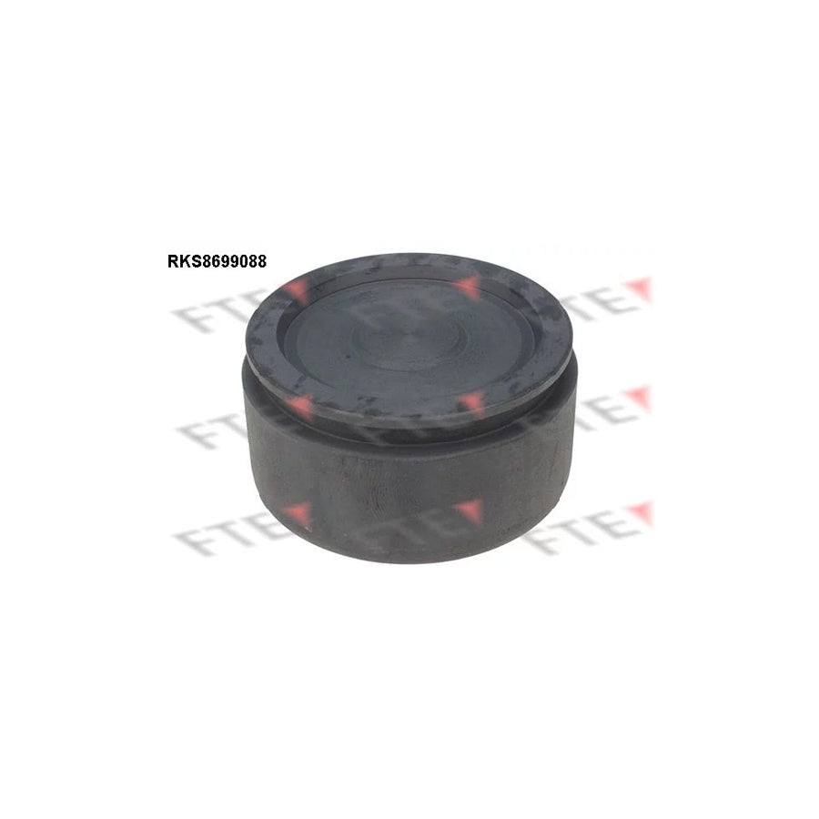 FTE 9313525 Piston, Brake Caliper