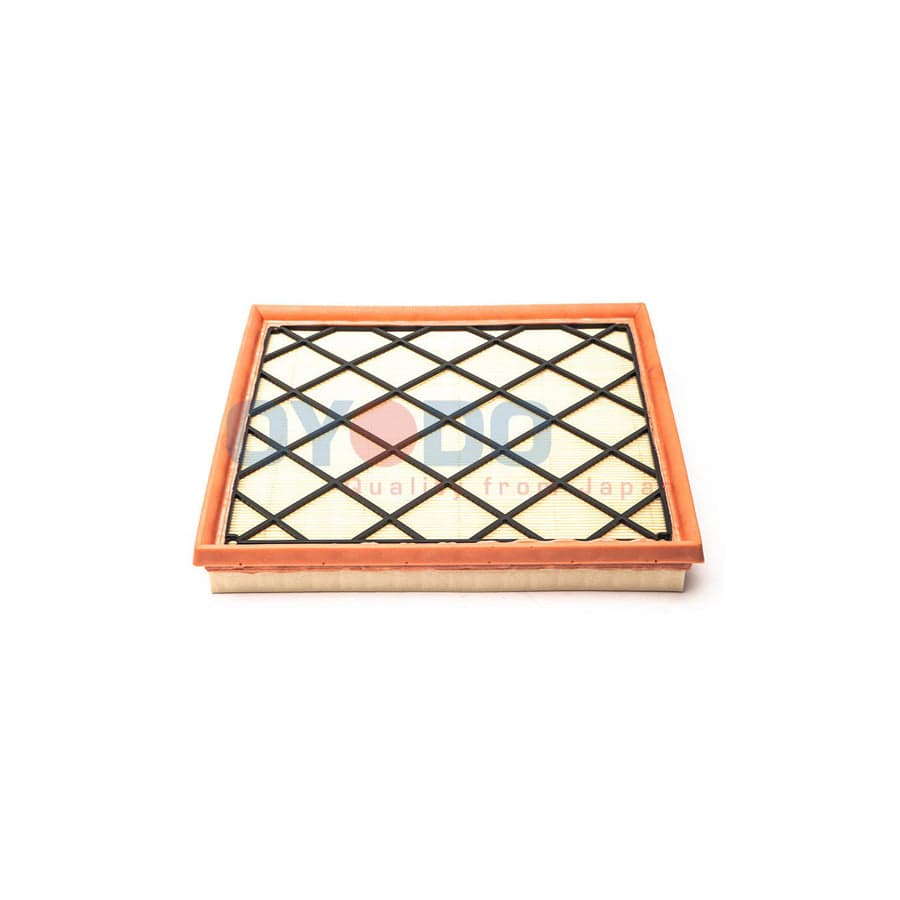 Oyodo 20F0021-Oyo Air Filter
