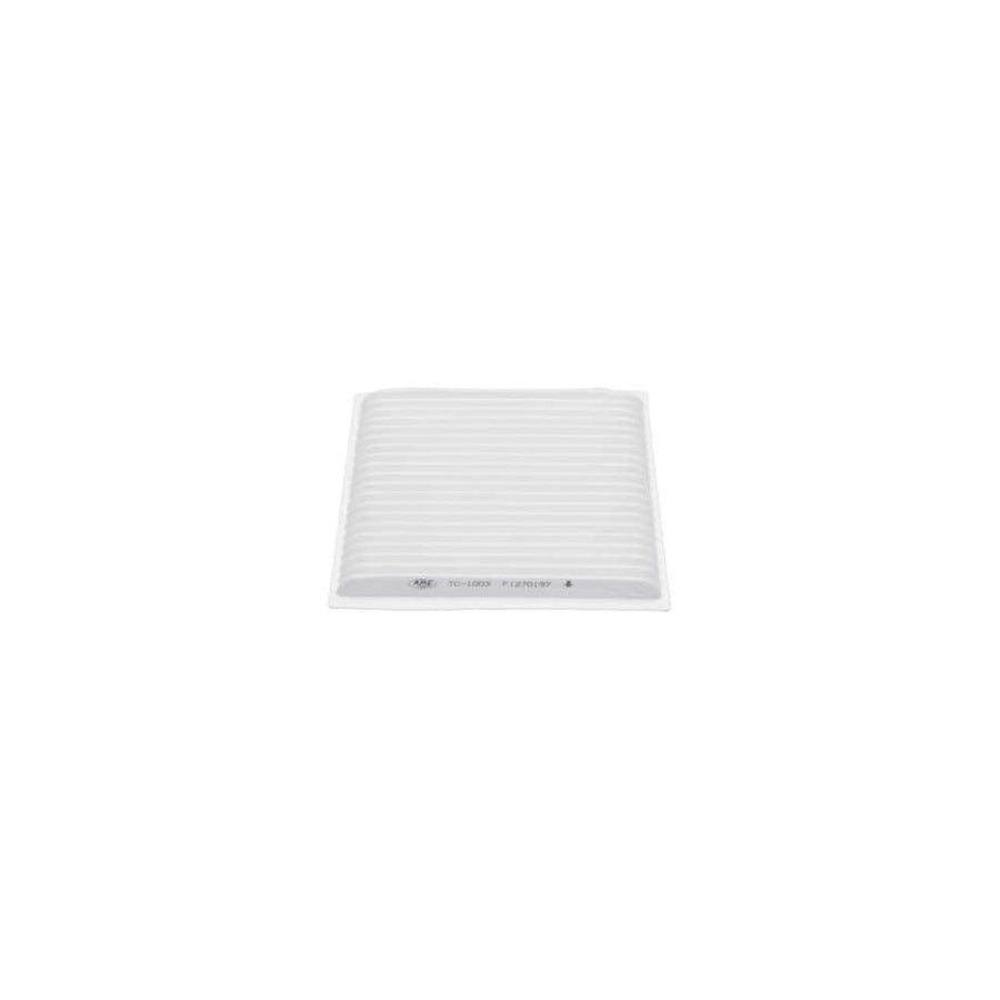 KAVO PARTS TC-1003 Pollen Filter