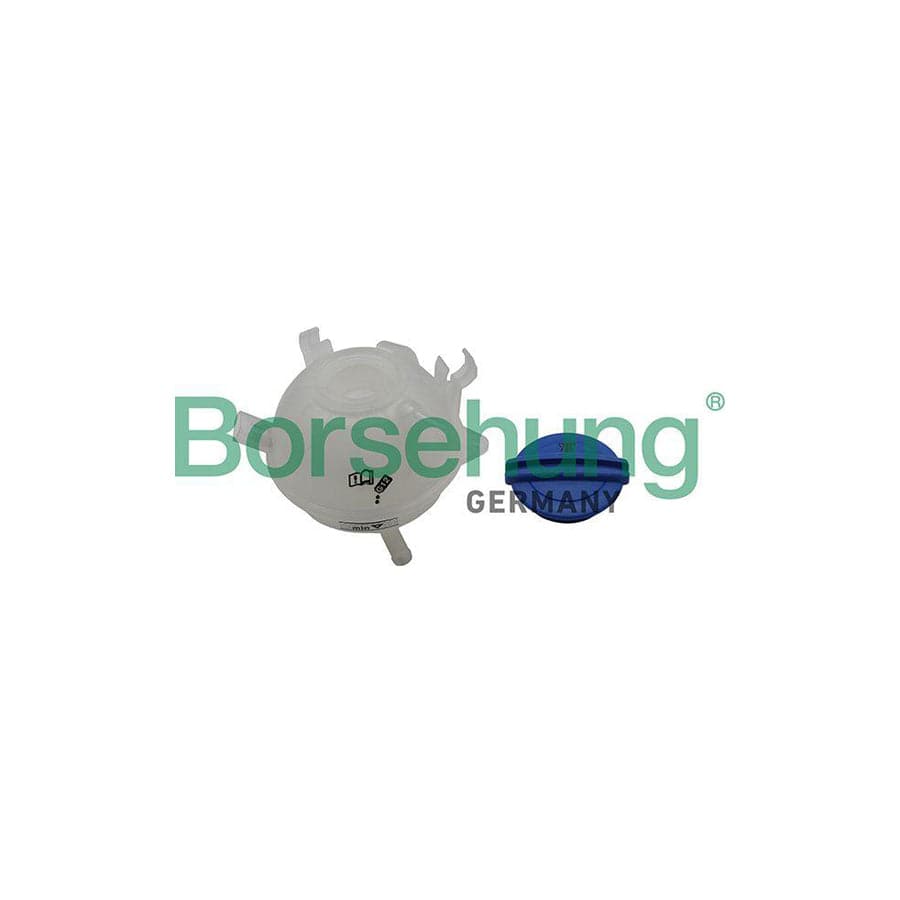 Borsehung B19286 Coolant Expansion Tank