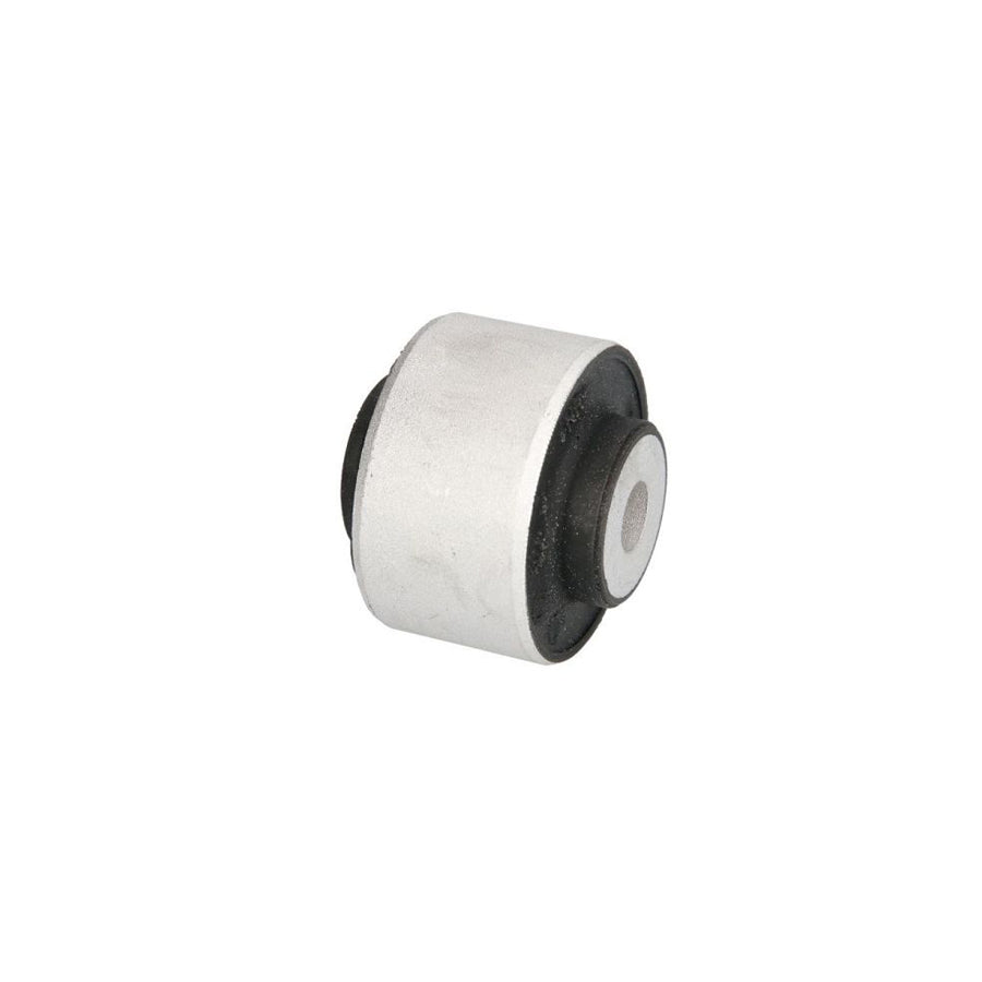 Reinhoch Rh140038 Control Arm / Trailing Arm Bush