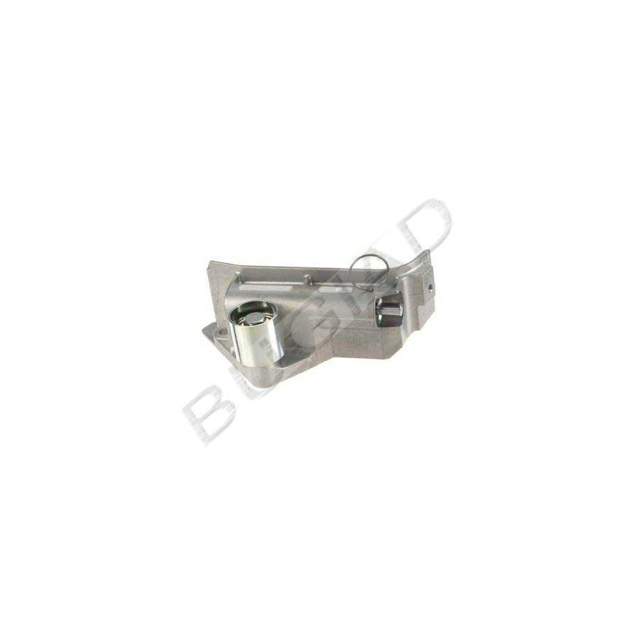 BUGIAD Bsp20732 Vibration Damper, Timing Belt