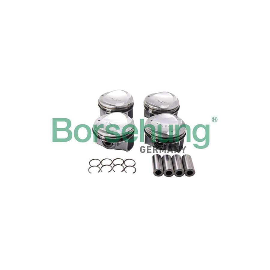 Borsehung B13584 Piston Ring Kit