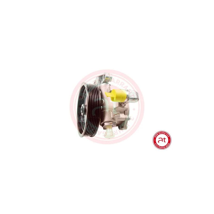 at autoteile germany At10792 Power Steering Pump