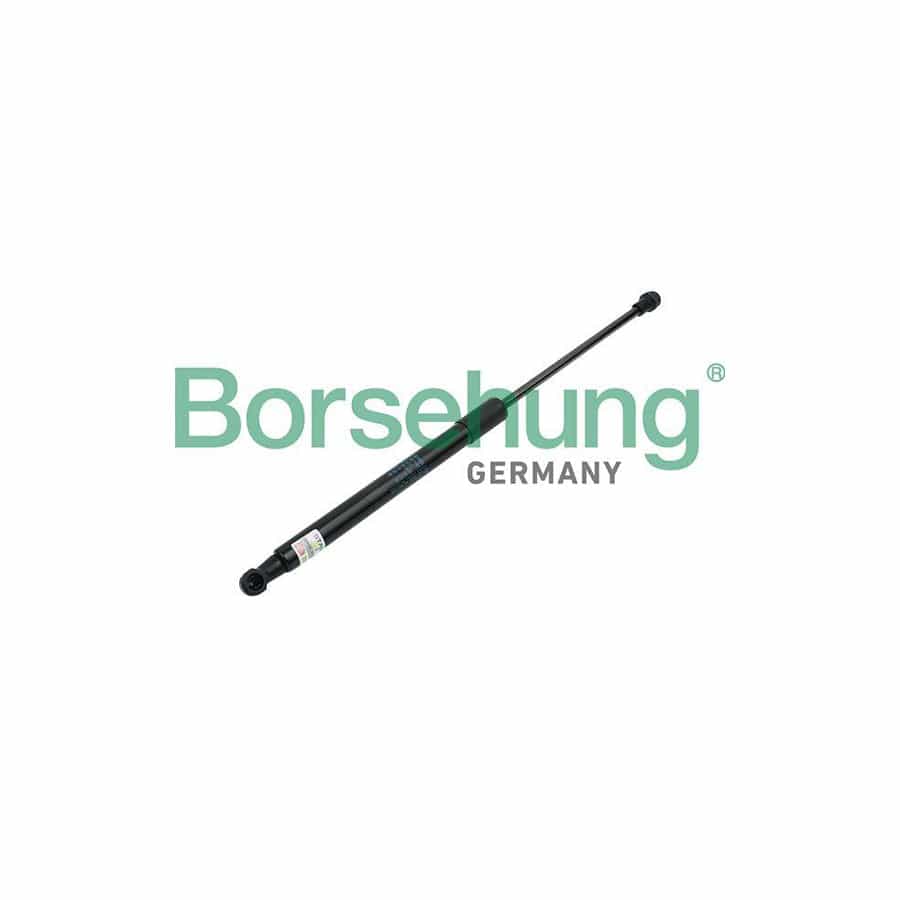 Borsehung B14198 Tailgate Strut for Skoda Superb II Hatchback (3T4)