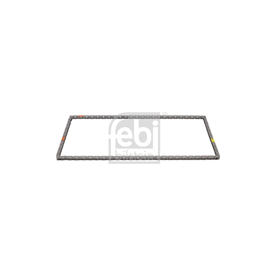 Febi Bilstein 184791 Timing Chain