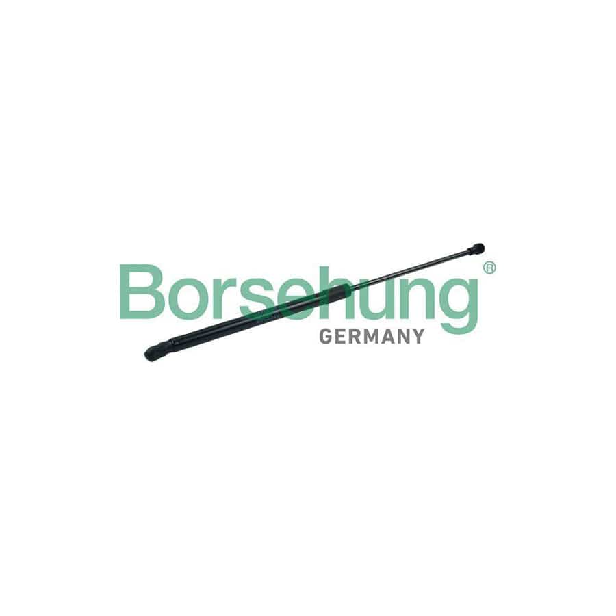 Borsehung B14194 Tailgate Strut for VW Polo IV Hatchback (9N)