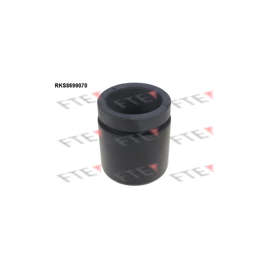 FTE 9313519 Piston, Brake Caliper