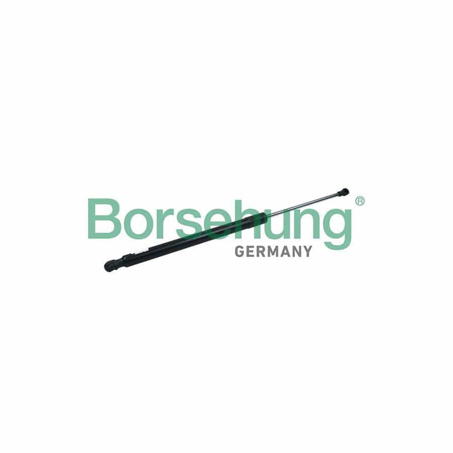Borsehung B14193 Tailgate Strut for VW Golf VII Variant (Ba5, Bv5)